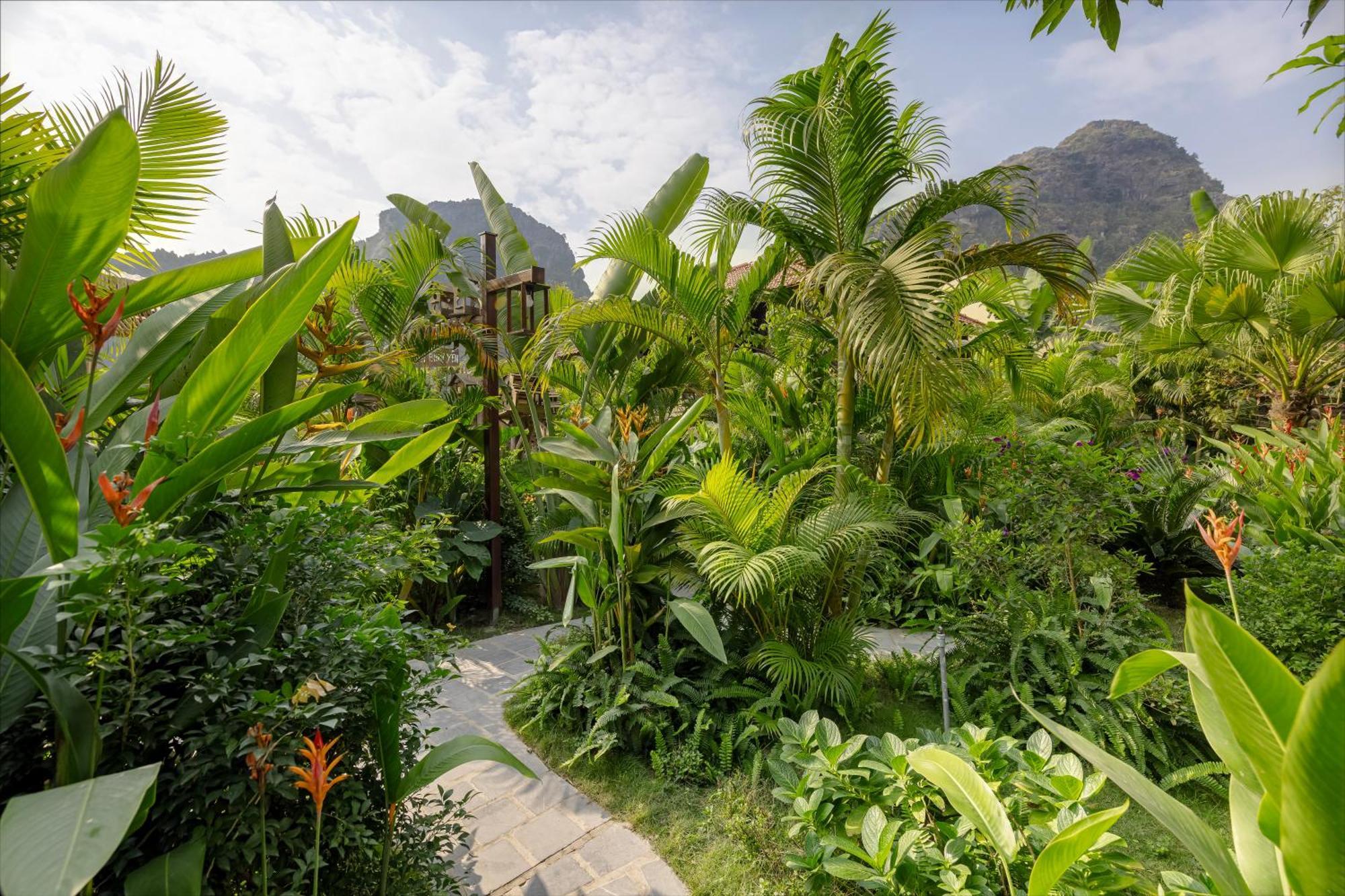 Scenic Mountain Ecolodge Ninh Binh Dış mekan fotoğraf