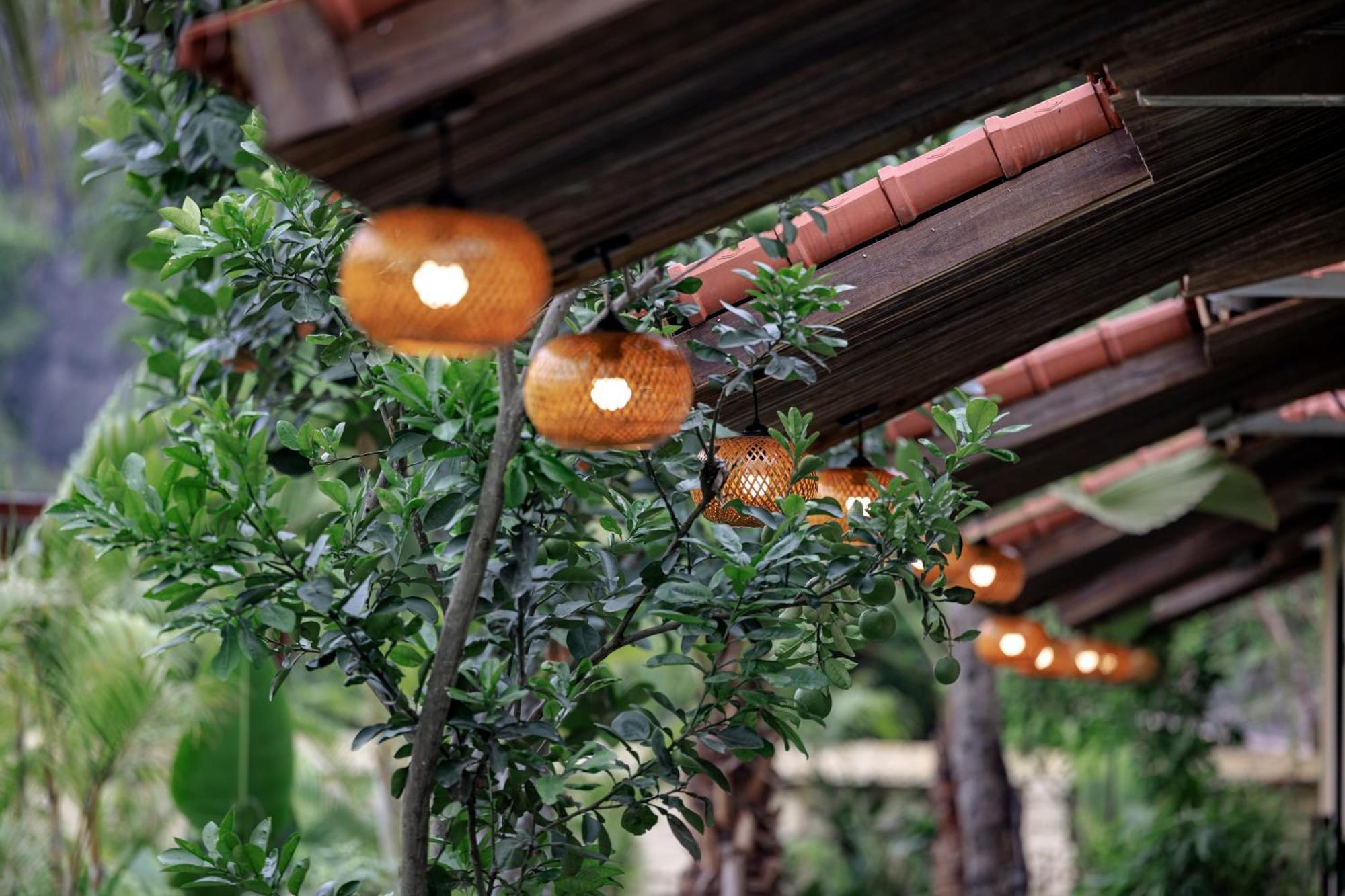 Scenic Mountain Ecolodge Ninh Binh Dış mekan fotoğraf